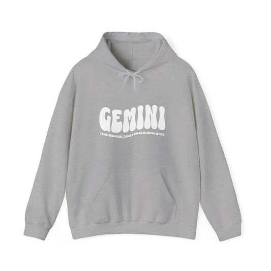 I'm A Gemini Hoodie