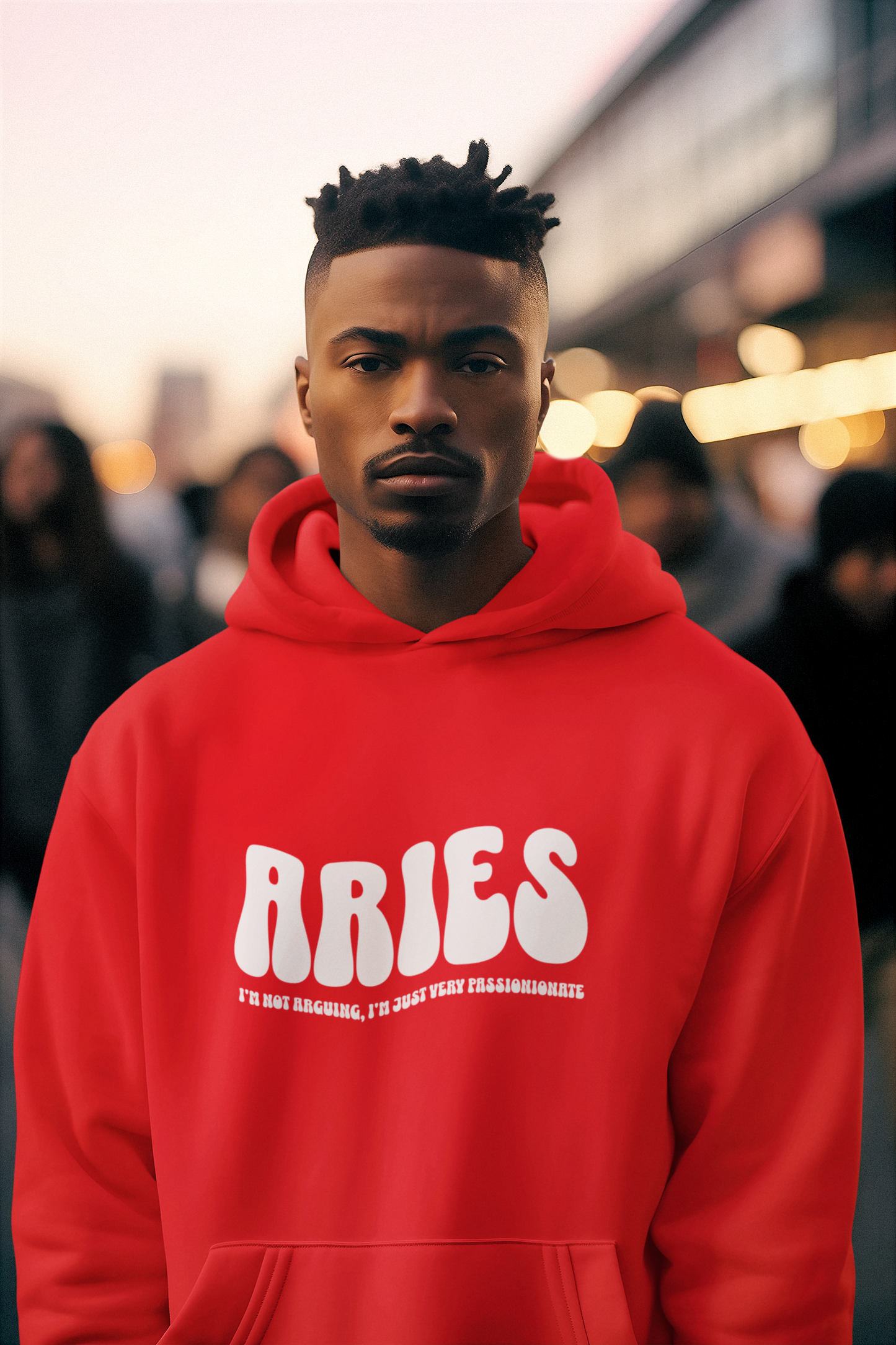 I'm An Aries Hoodie